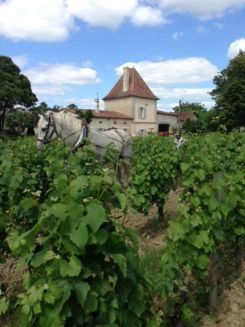 Chateau Vieux Mougnac Petit-Palais-et-Cornemps Esterno foto